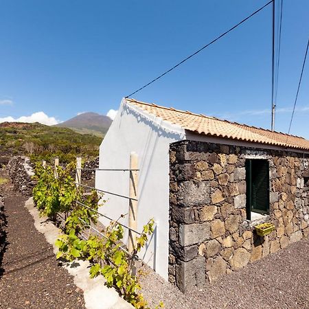 Cantinho Do Sossego Madalena  Exterior photo