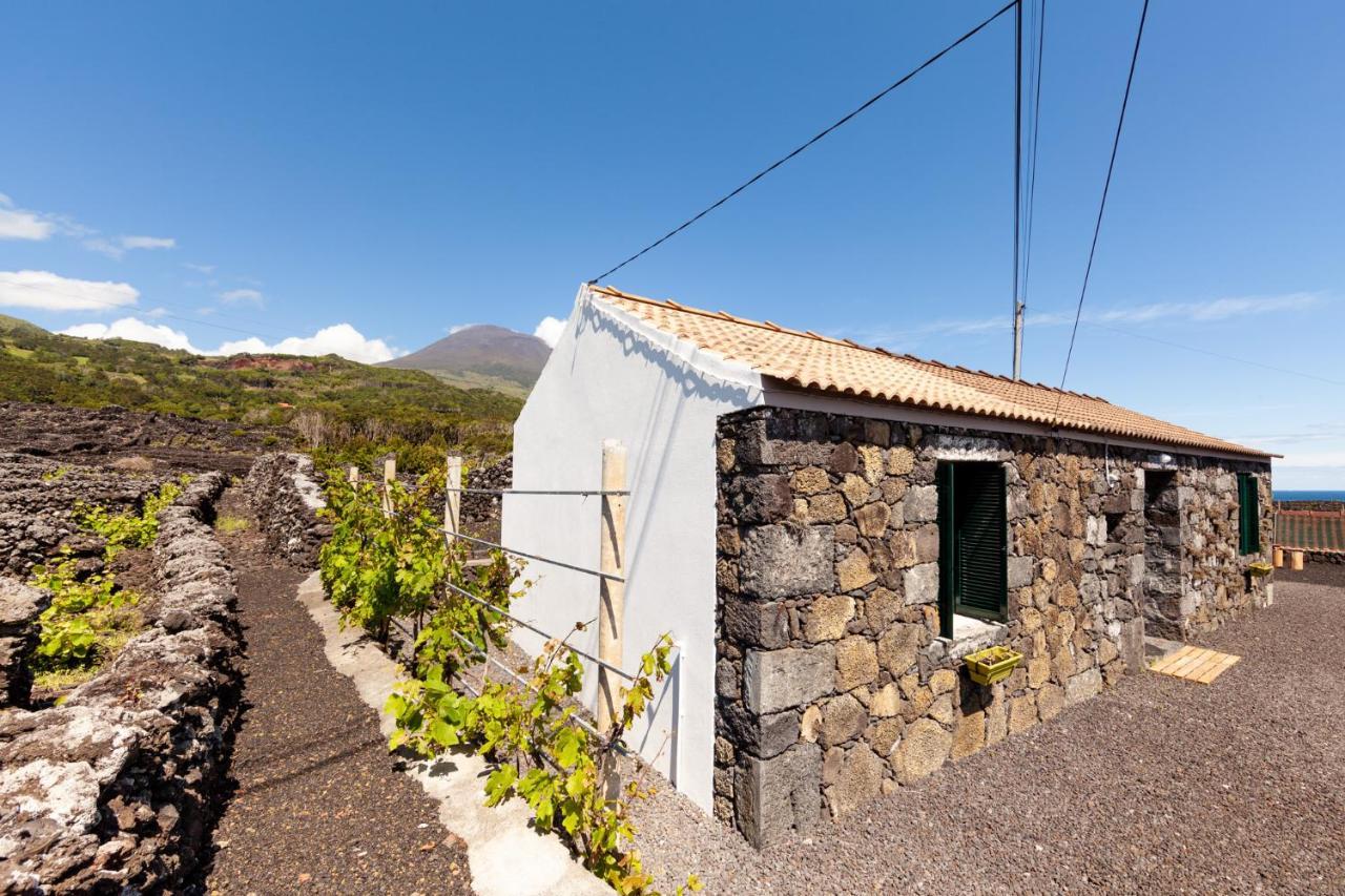 Cantinho Do Sossego Madalena  Exterior photo