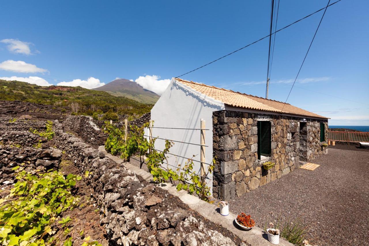 Cantinho Do Sossego Madalena  Exterior photo