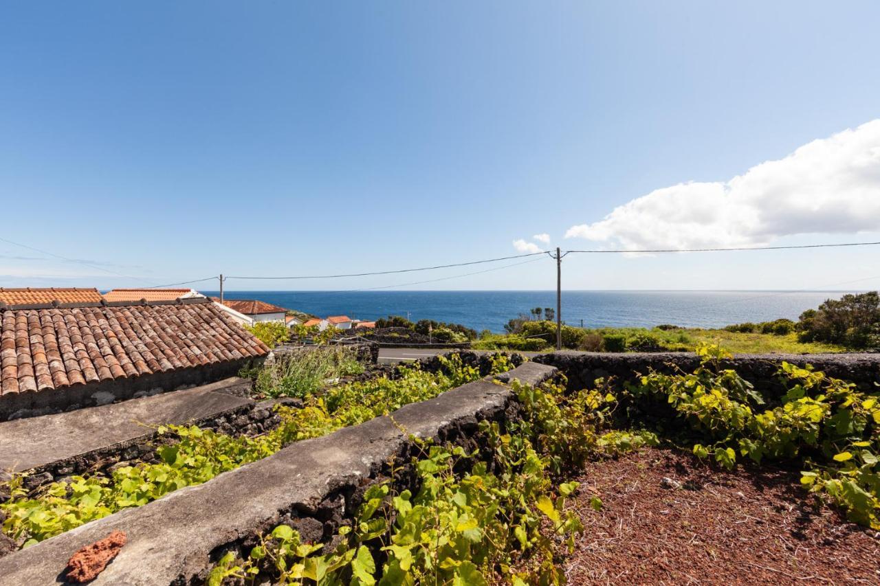 Cantinho Do Sossego Madalena  Exterior photo